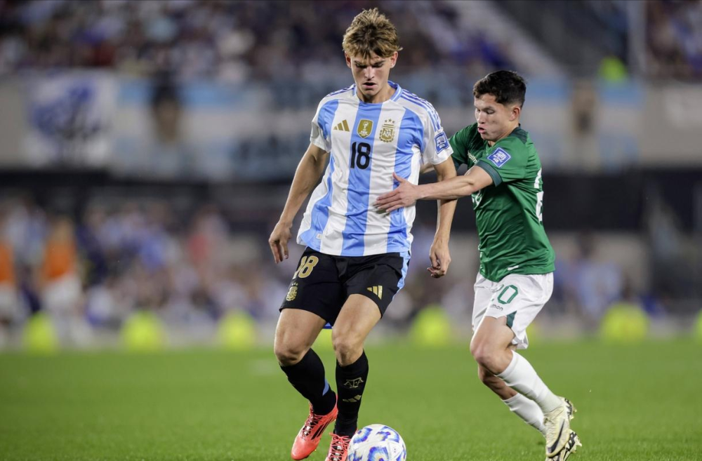 的合作不仅 的合作不仅