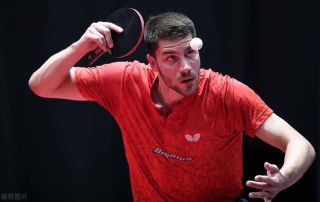 他们的综合 他们的综合