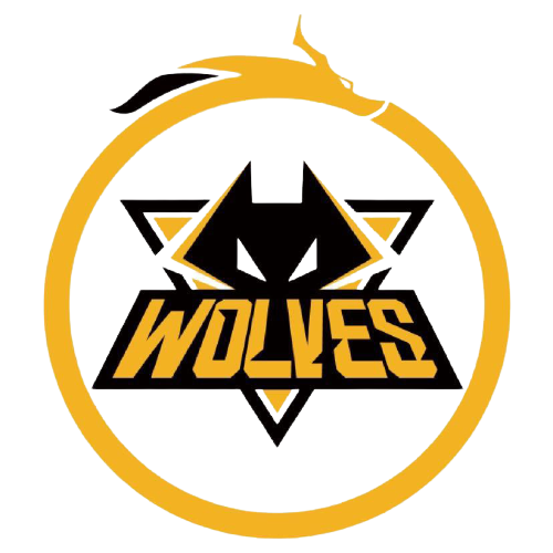 球队调整阵 球队调整阵